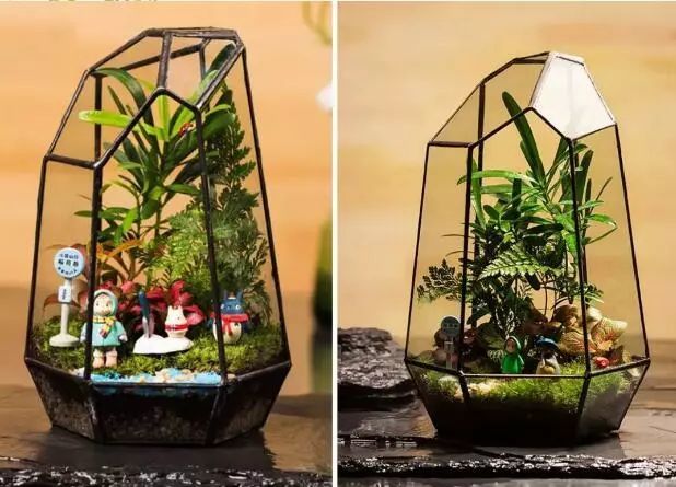 活动主题:微景观diy