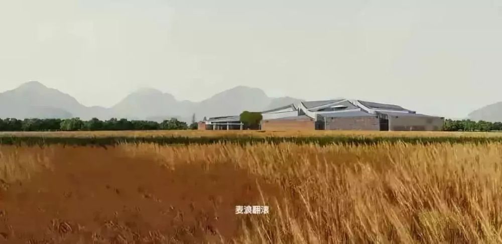 图片 21
