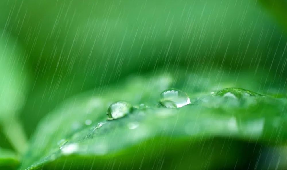 淋雨一直走, 是道阳光就该暖和, 人都应该有梦.