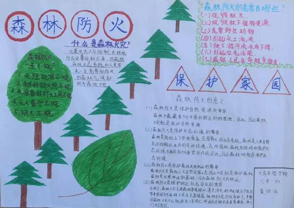"做好森林防火,保护绿色家园"手抄报展览