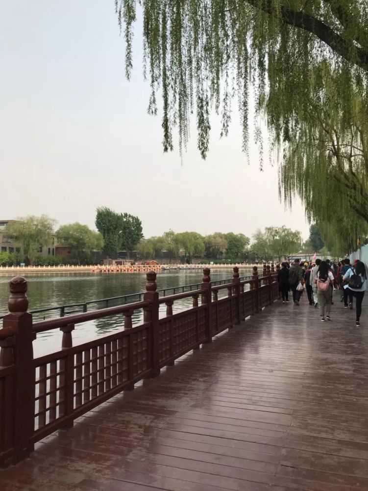 betway必威官网 20
