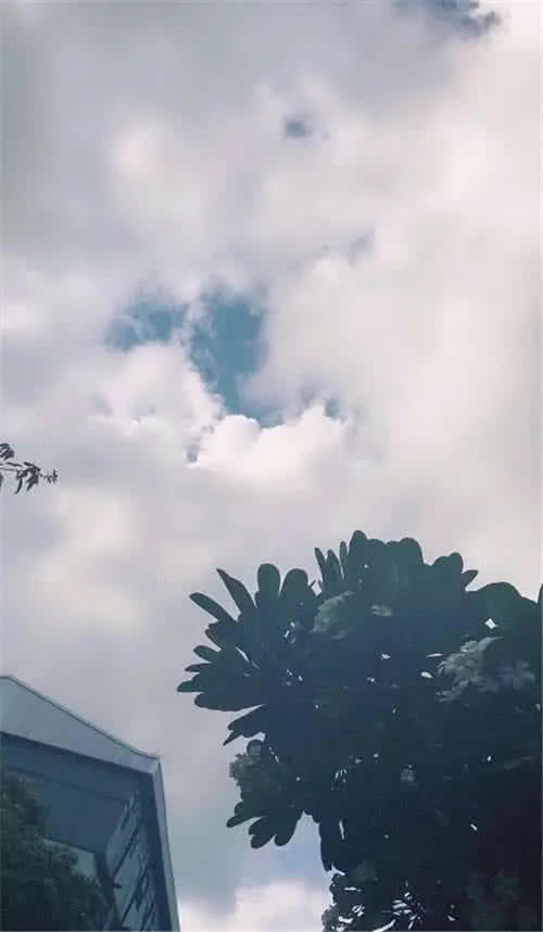 原宿风·治愈·背景图:我天天请你喝养乐多,让你每天把快乐养多多