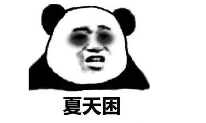 微信熊猫头做什么都困的表情包图片