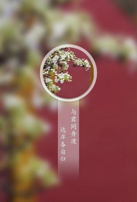 最近火了"古风文言文分手壁纸":一别两宽,各生欢喜