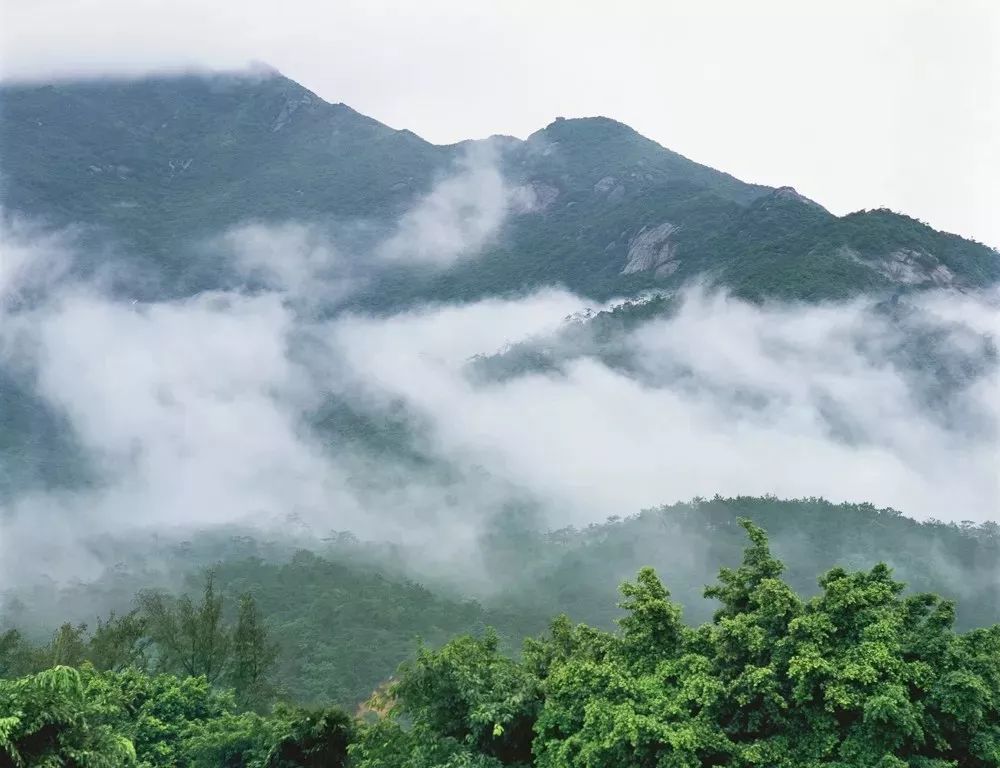 博罗县,象头山,东山森林公园,罗浮山,惠州