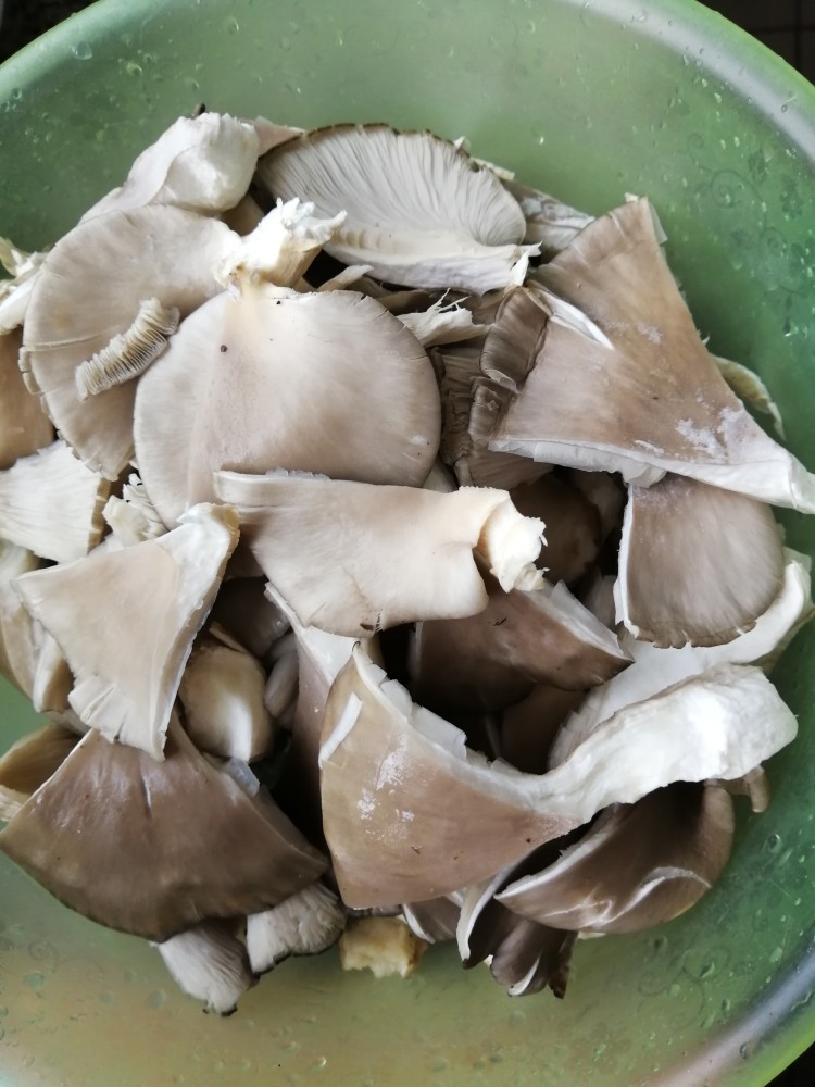 大叶蘑菇最好吃的做法——干炸鲜蘑,做法极简,火速收藏