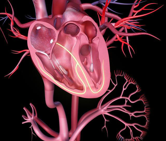 腾讯欧宝直播-share555大夫明白话这些心脏手术：心脏支架！搭桥！移植！起搏！射频！(1)