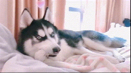 吃个东西都能玩出点小把戏