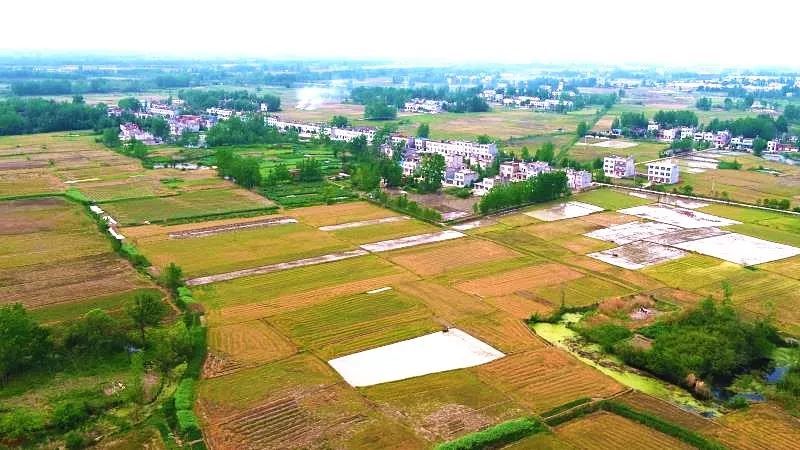 谷雨时节,航拍下的天门石家河春景,如此生机勃勃