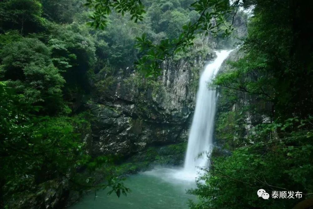 我县南浦溪景区重新开业!