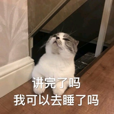 蠢萌猫咪表情包:接下来是不是要凶我了!