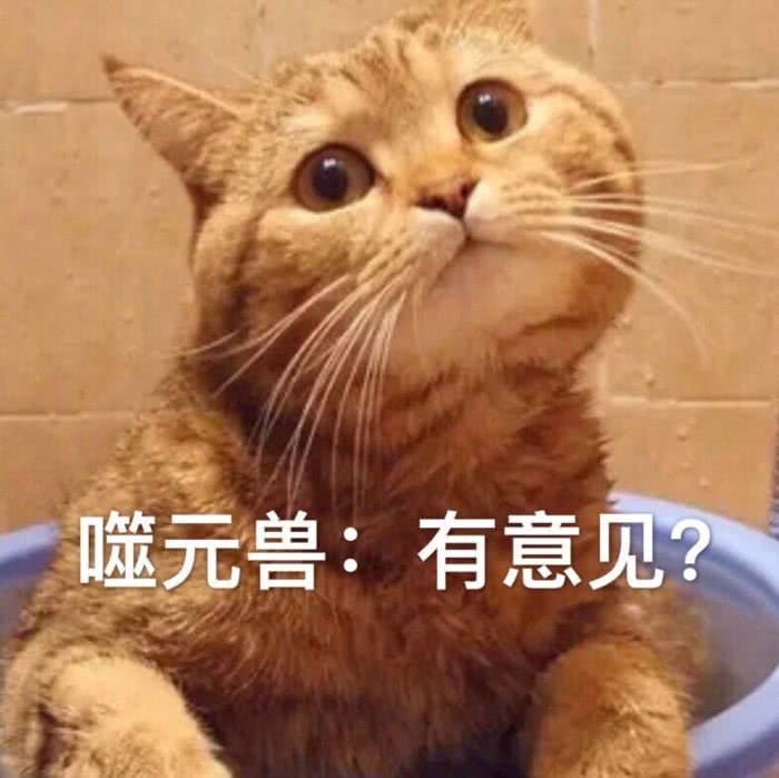 奶凶"小奶猫"怼人表情包:你这种小饼干,我都不用睁大眼看!