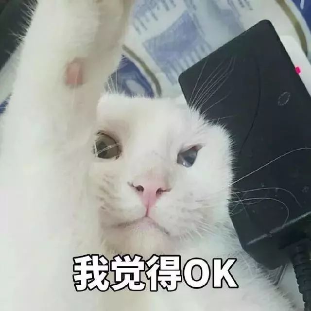 表情包:我觉得ok,ojbk,没毛病