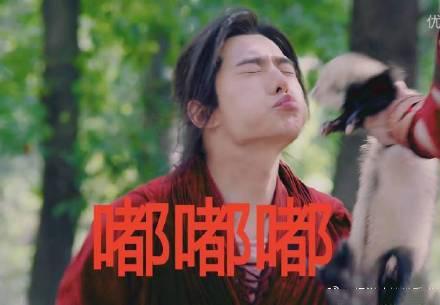 杨洋搞笑表情包:当杨洋成了表情包界的杠把子,他就离大神远了!