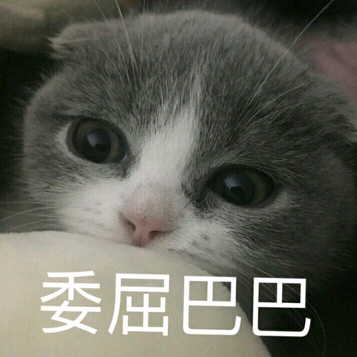 搞笑超逗的表情包,你这只臭猪猪,是不是外面有别的小宝贝了