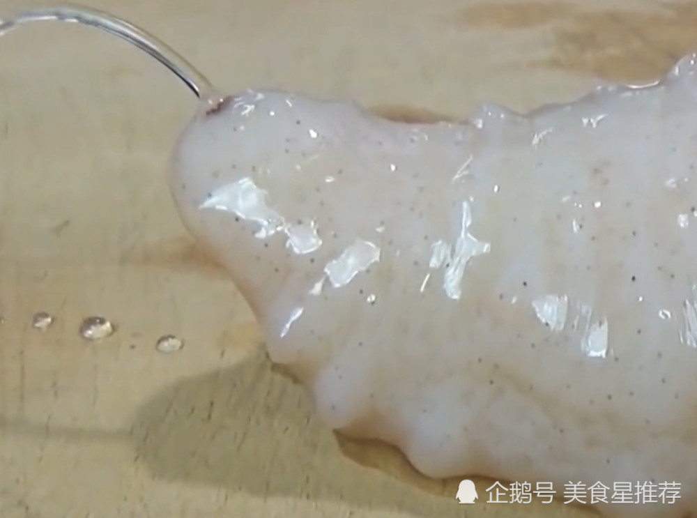 全身如"白玉"的白海参,20万只中产出一只,日本人直接生吃