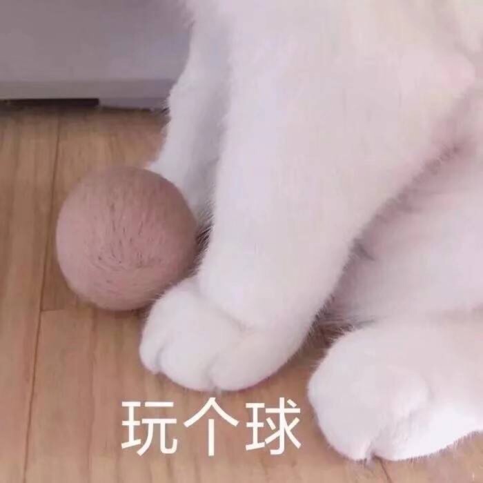 表情包,可爱有趣,生无可恋,聊天专用