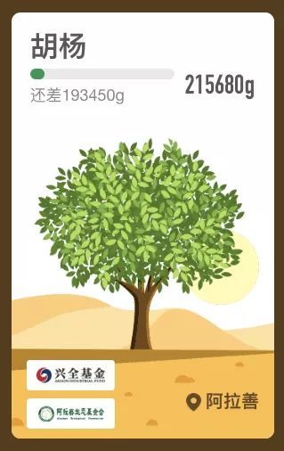 曾在支付宝平台的个人碳账户"蚂蚁森林"上,首批上线了6666棵胡杨树