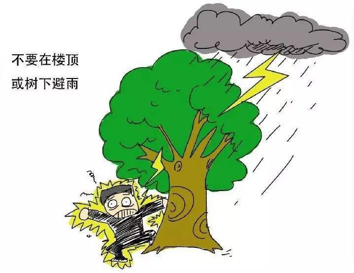 第三,最好不要去树下躲雨,如万不得已需在树下停留一定要蹲在树下,与