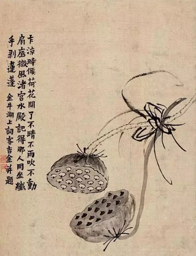 金农的水墨小品,百看不厌