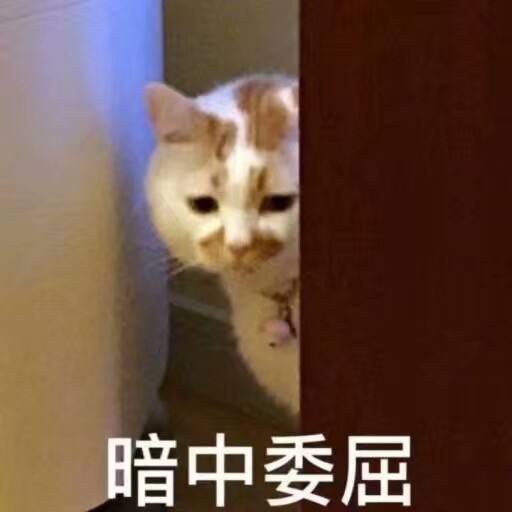 可爱猫咪表情包:暗中委屈!