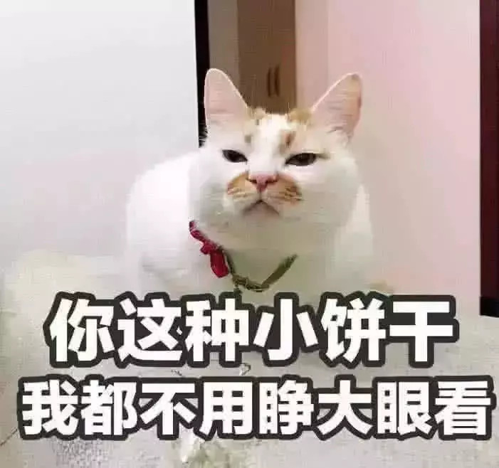qq斗图必备表情包:滚,然后在路上骨折吧!