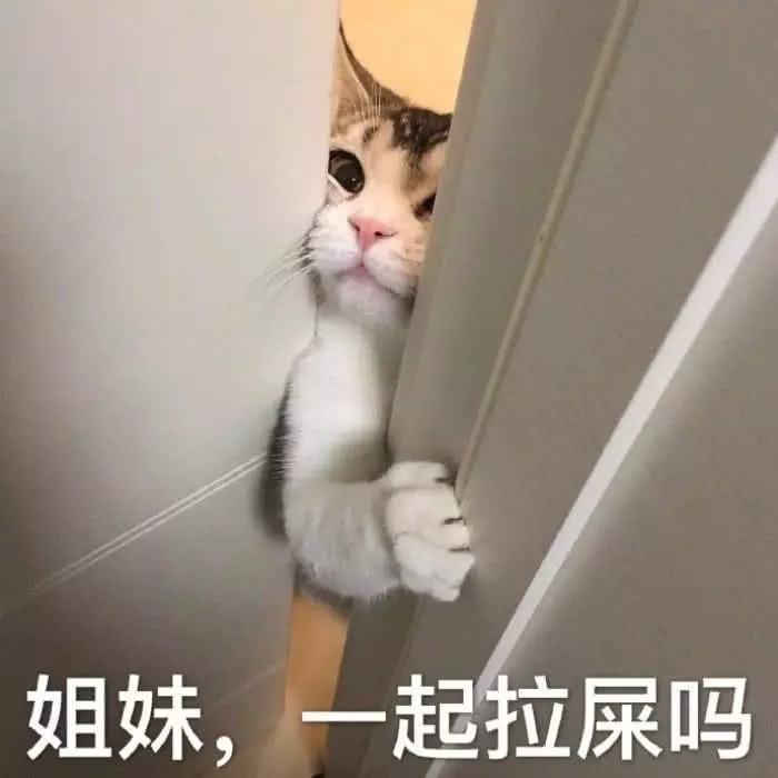 想结束聊天,发这组表情包"敷衍他",识趣的就撤退吧!