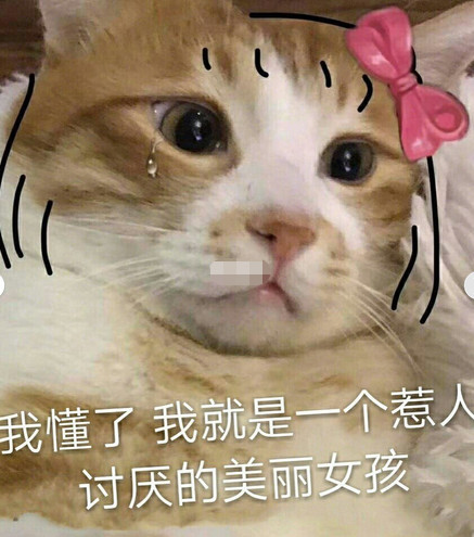 敲可爱·猫咪表情包:女生聊天必备,男生小心了,被撩到