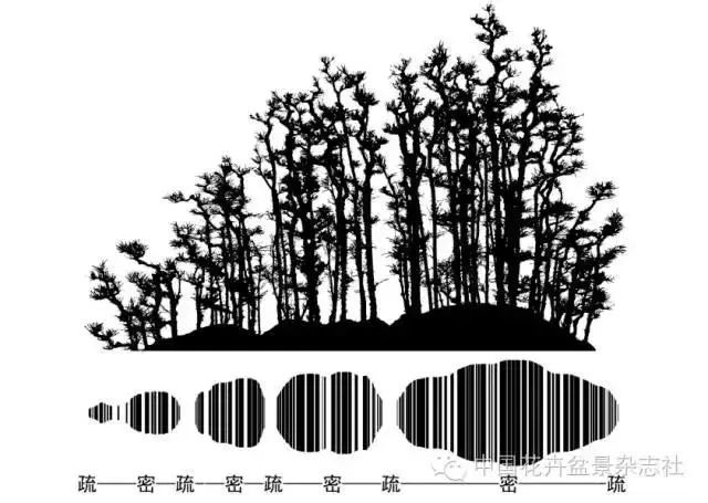 大师专栏i 从两件丛林式盆景看虚实