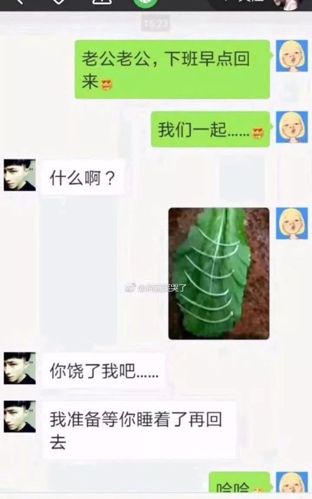 小编点评:一叶七刺. 是个狠人!