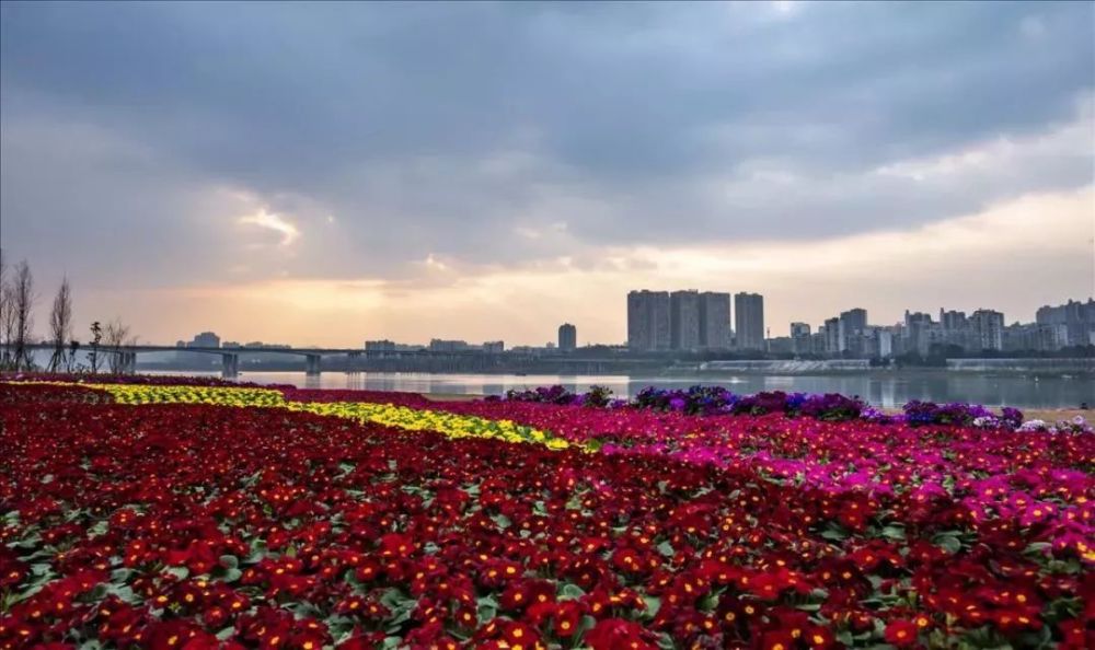 凤仪湾湿地公园