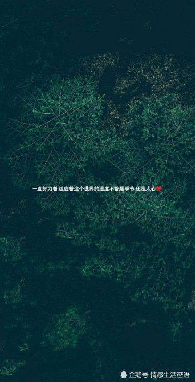 "努力"壁纸:一直努力适应这个世界的温度,不管是季节还是人心