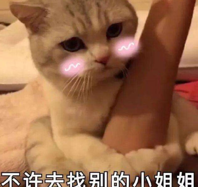 挽留专用表情包:呐小哥哥,一颗心心全都给你,别去找别人好不好