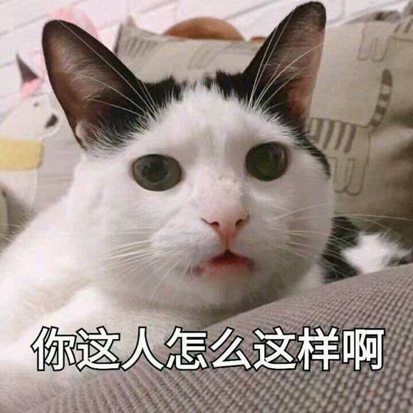 超搞笑可爱的猫咪表情包,你这人怎么这样啊