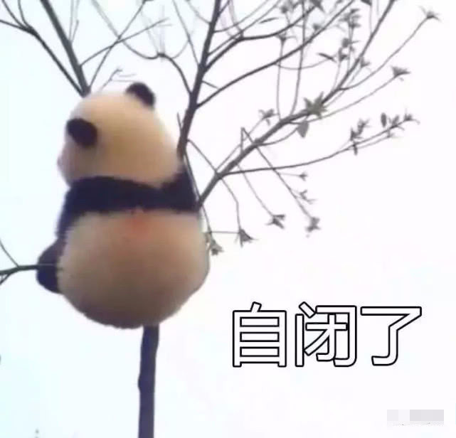继熊猫叉腰后,它又自闭"生闷气"了:赶紧来哄我