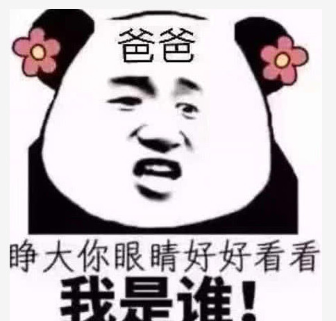 熊猫头恶搞表情了解一下:我可以报名成为你的下一任吗