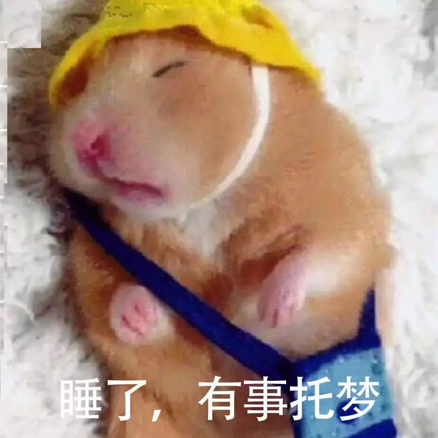 超奈斯·怼味·表情包,唐僧的笑容我忍了,苏大强的凝视抵挡不住