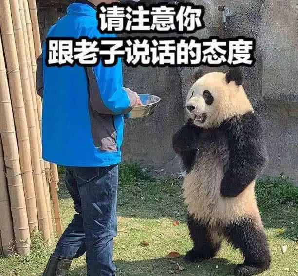 最近qq上超火的"亲吻"表情包:给你个机会偷亲我,超甜!