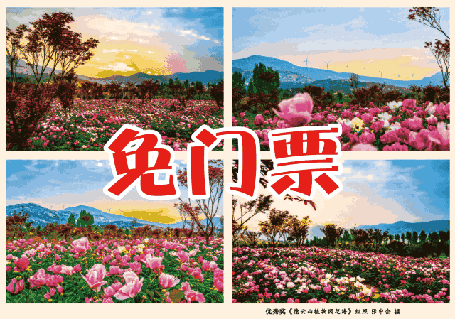 门票免费送了!方城惊现多人飞天!真正的高空飞翔!还有