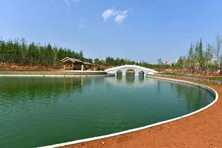 夏夜晚风,孟津这些公园值得转一转