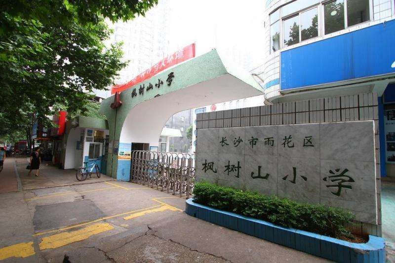 枫树山小学