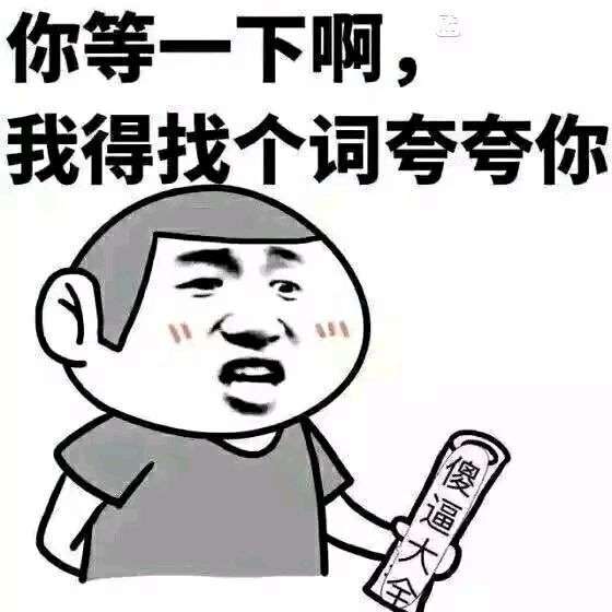 表情包:你等一下,我得找个词夸夸你