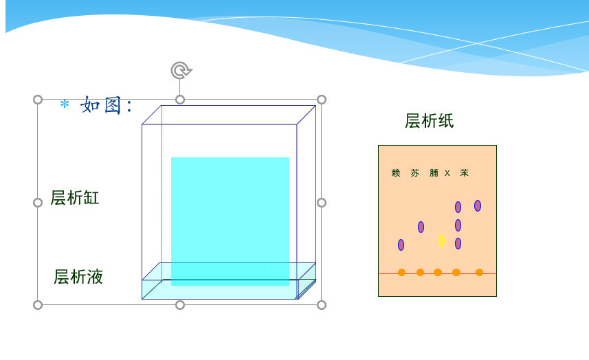 纸层析分离氨基酸生化实验有关知识!