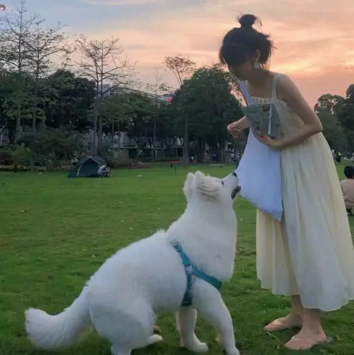ins·超奶思·仙女头像:不会巴结人,是风光是落魄我都