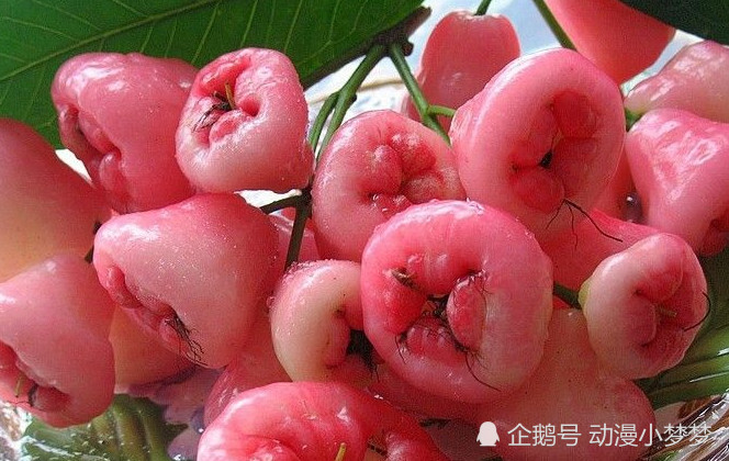 "长得丑吃着香"的水果,你见过几个?看到图一网友笑岔气