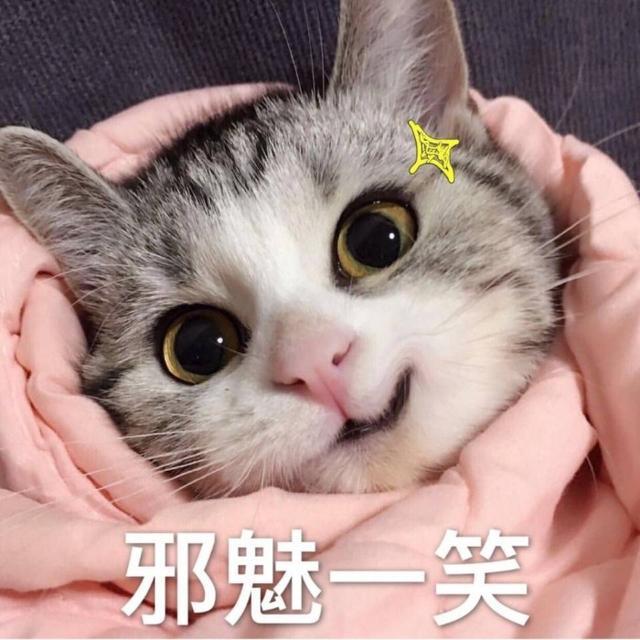 最近超火"卡哇伊"表情包,萌到犯规,我已经准备好沦陷了!