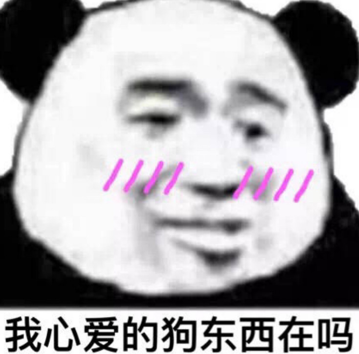 情侣专用表情包:小仙女,从不讲道理
