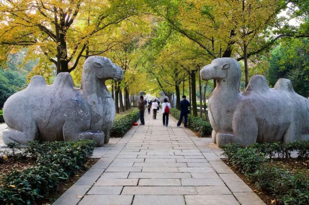 在中山陵附近有着众多的历史名胜,它东毗灵谷寺,西邻明孝陵,整个建筑