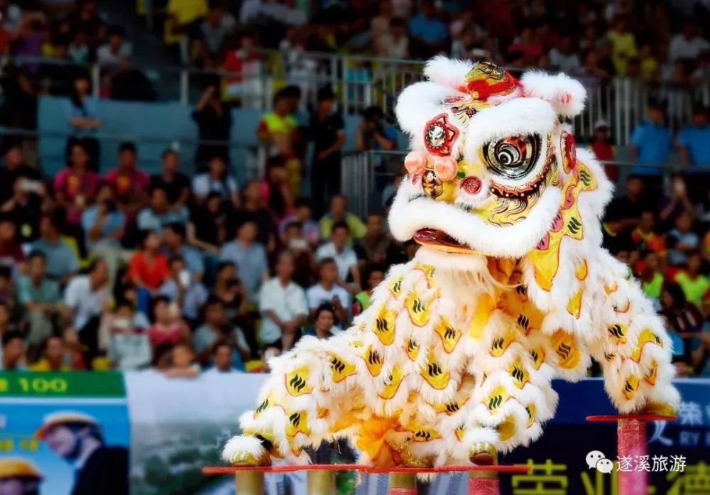 醒狮表演 遂溪拥有"中国醒狮之乡"的美誉,民间醒狮活动源远流长,还曾