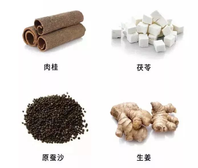 益精血,强筋健髓; 茯苓:宁神静心,利水渗湿; 肉桂:补火助阳,引火归元